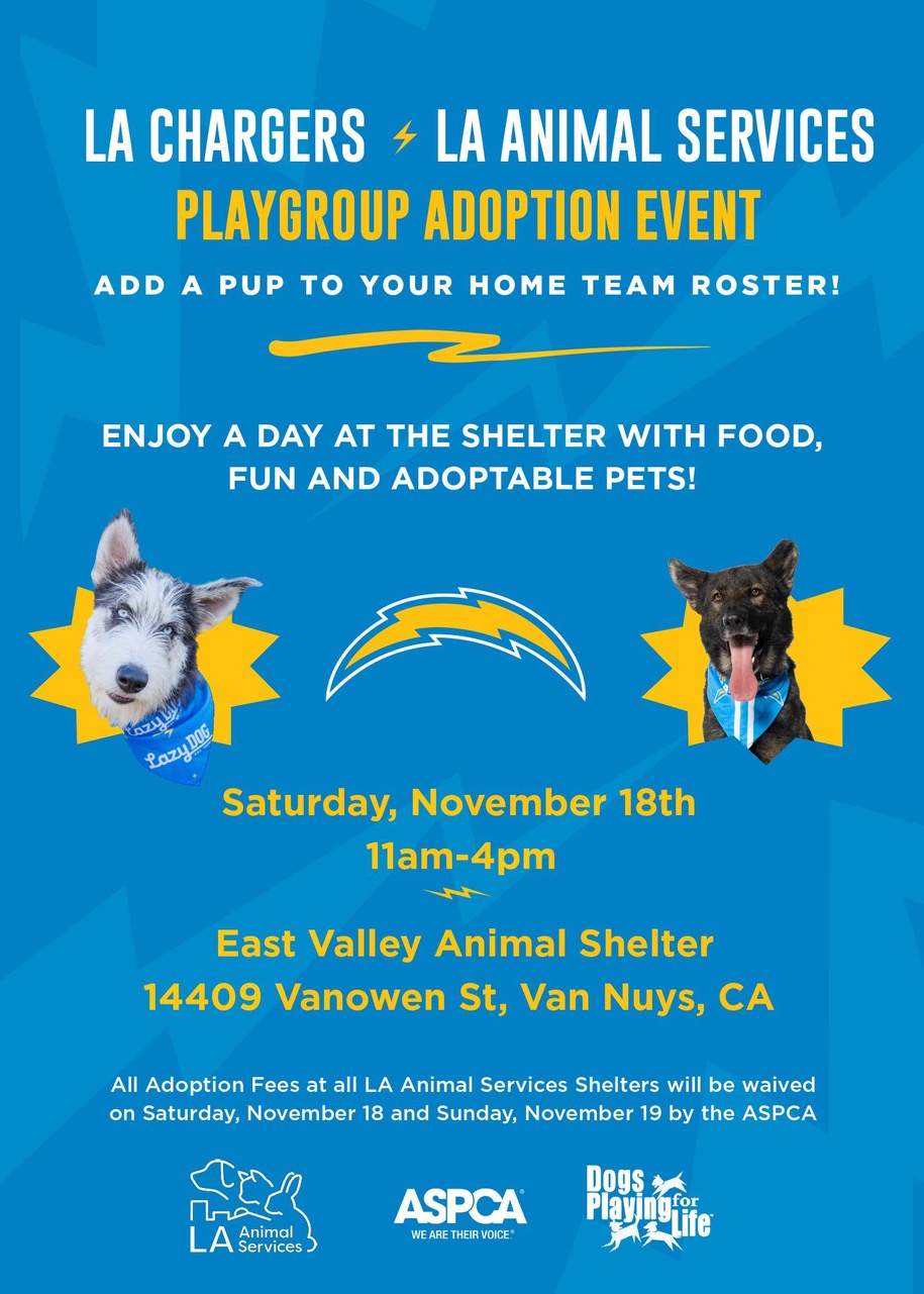 Central valley hot sale pet adoption